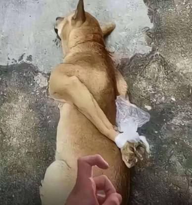 频道手动补发