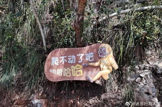 via 7号沙雕网友via 7号沙雕网友