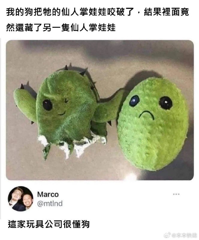 from 猫猫窝🐈🐈‍⬛