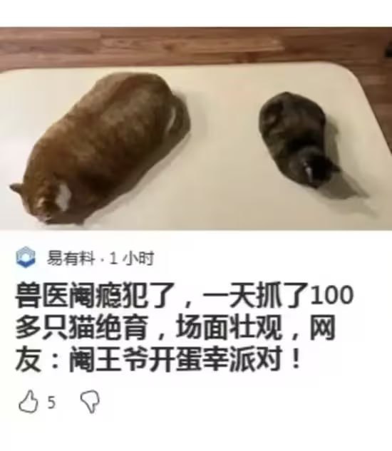 via 8号沙雕网友