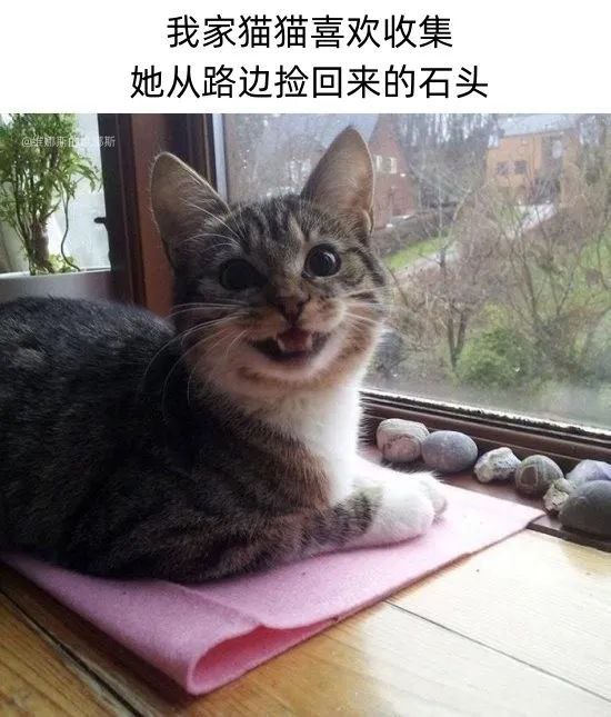 via 猫又云云