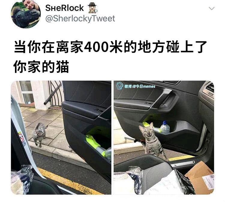 【meme宝箱】您获得的meme数量是...from TG空间🐱【meme宝箱】您获得的meme数量是...from TG空间🐱