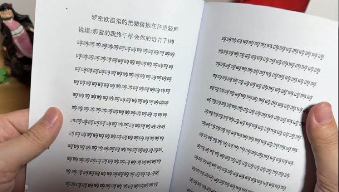 ……from 平壤卫视……from 平壤卫视