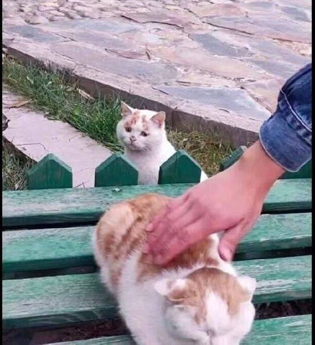 poor guy来源poor guy来源