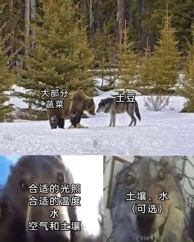 via 7号沙雕网友
