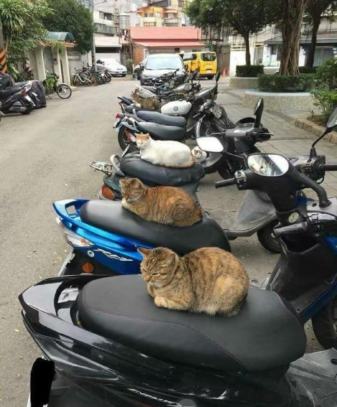 群贤毕至