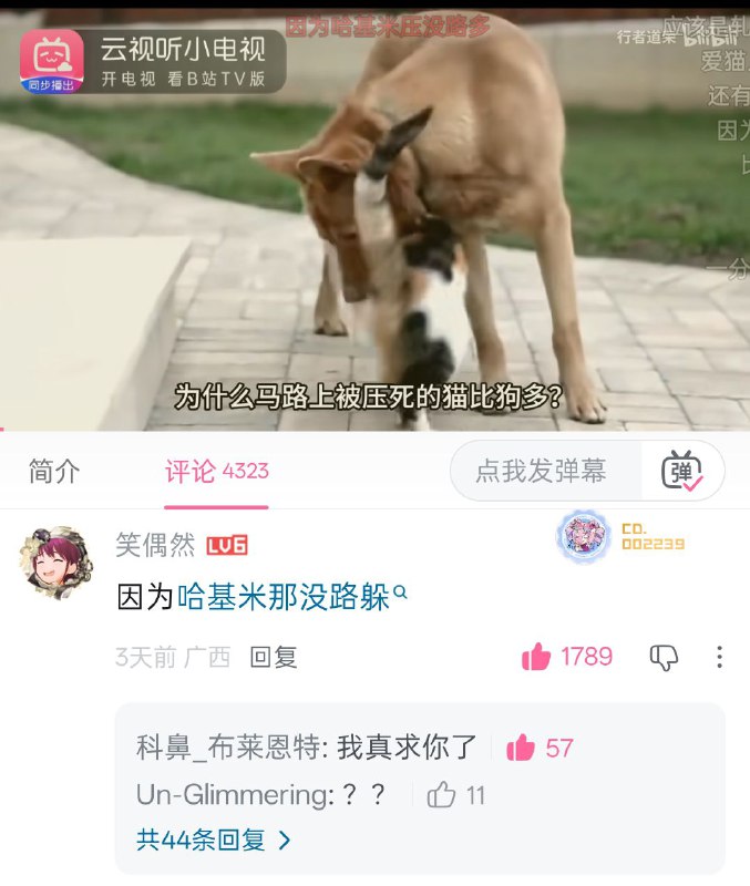 via hanrui my son🦴