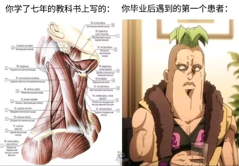 via 7号沙雕网友