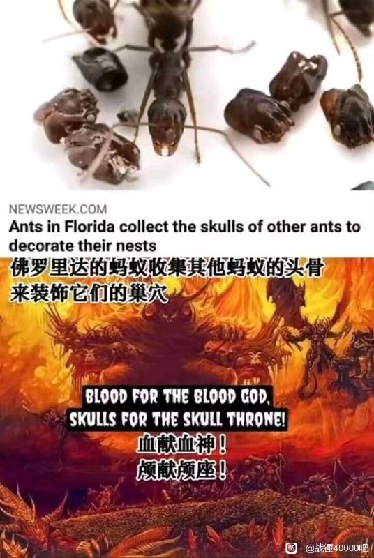 via 鸭累鸭累