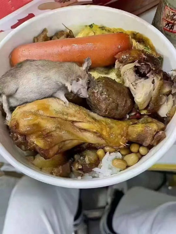 全鸭