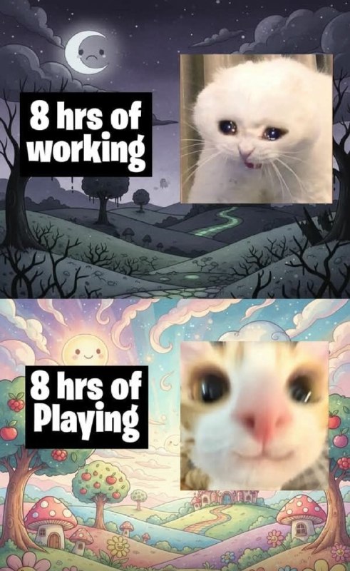 from Anzu什么都发 via Anzu Mayoi