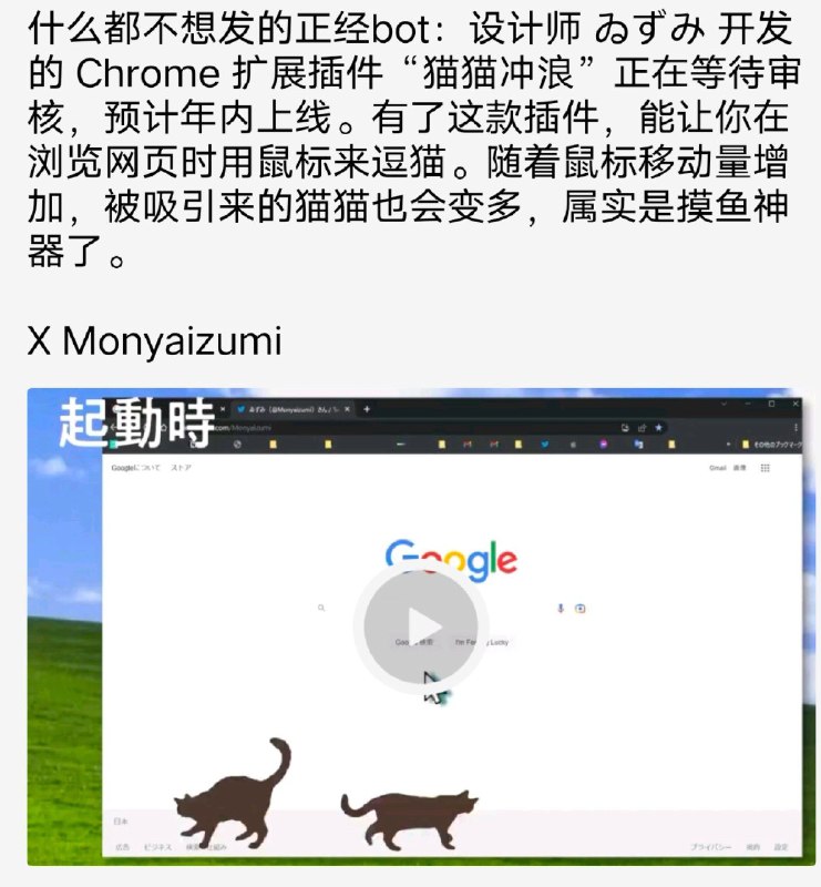 from 猫猫窝🐱from 猫猫窝🐱