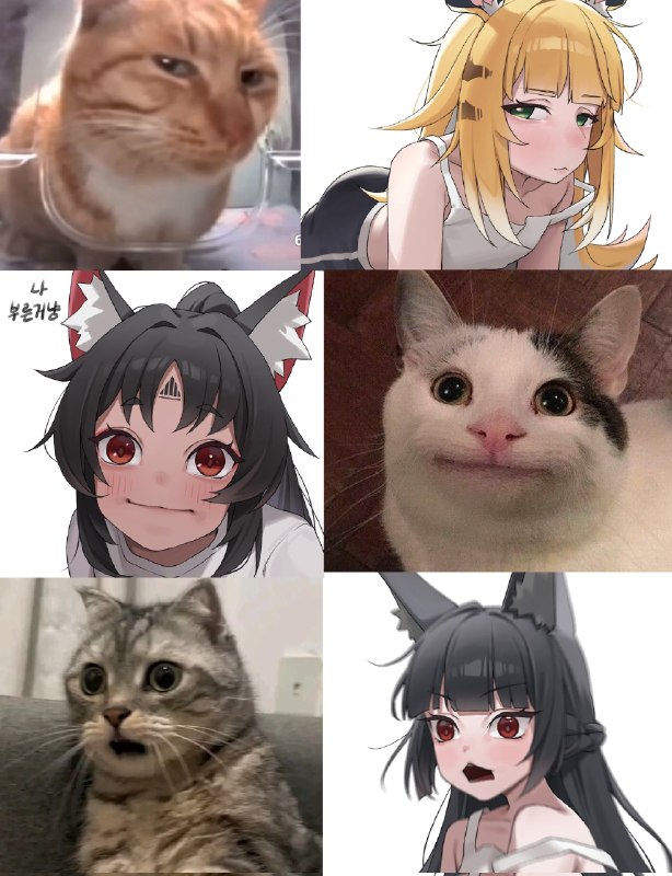ねこ🤔▎Sourcefrom Anzu什么都发 via Anzu Mayoi