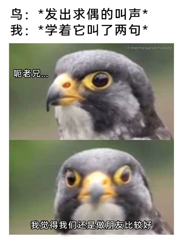 via 7号沙雕网友