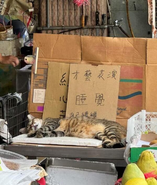 via 6号沙雕网友