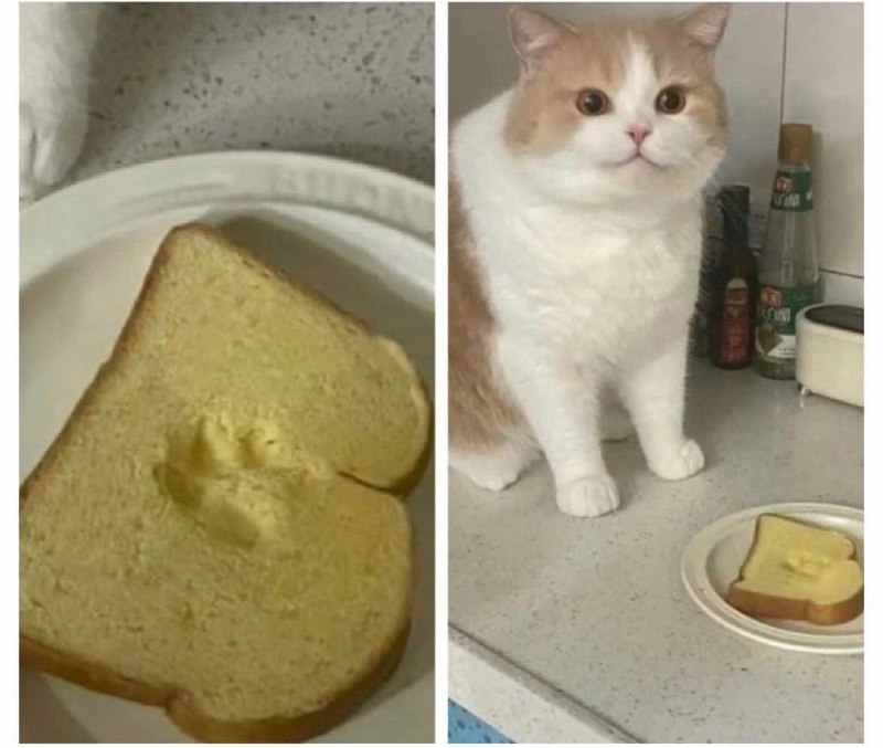 My only contribution in baking