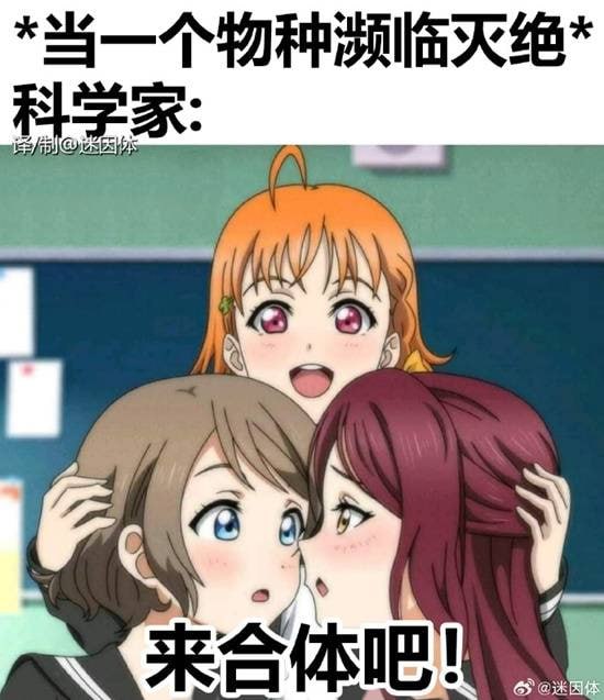 via 7号沙雕网友