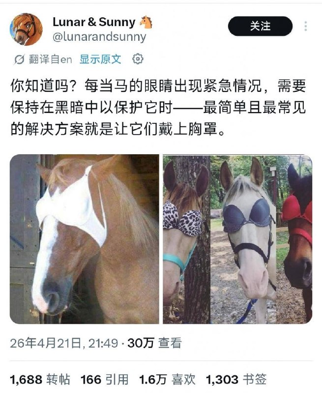 from 什麼都來點 via DECADEfrom 什麼都來點 via DECADE