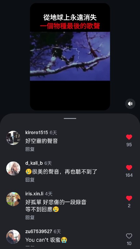 😭😭😭😢😢😢现在听到的漂亮鸟鸣，如今在地球任何地方，都已经无法亲耳听到了