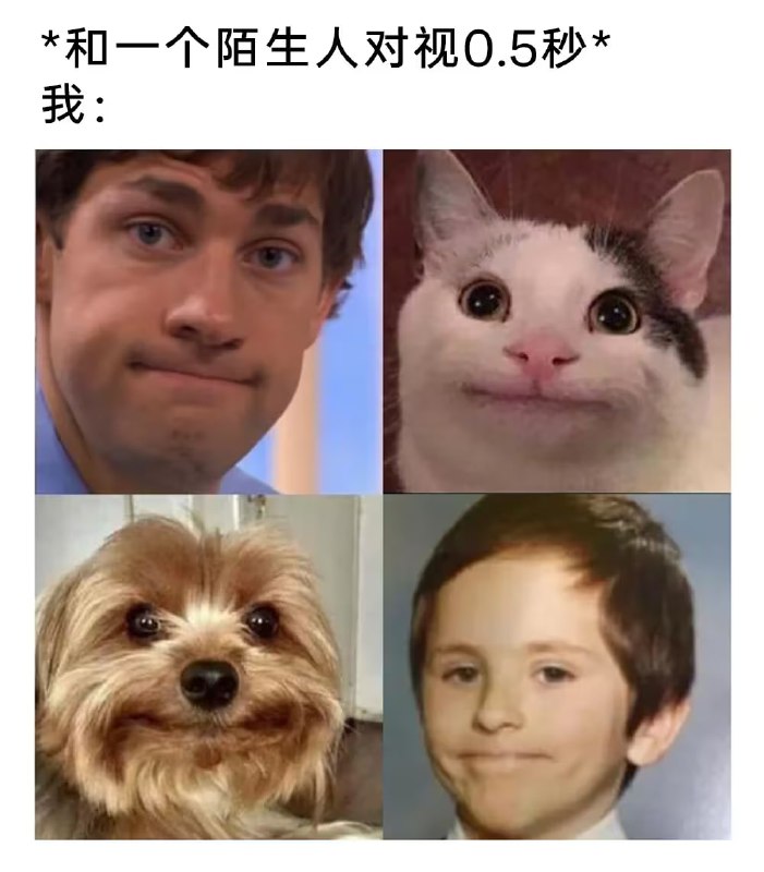 via 6号沙雕网友