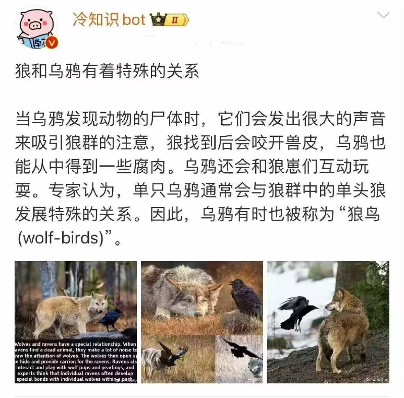 from 猫猫窝🐈🐈‍⬛️from 猫猫窝🐈🐈‍⬛️