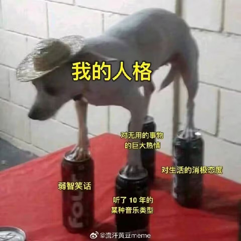 via 6号沙雕网友