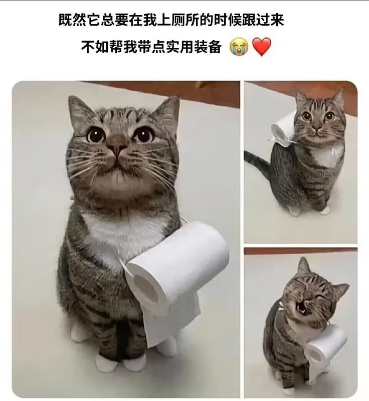 老大，我给你带卫生纸via cy