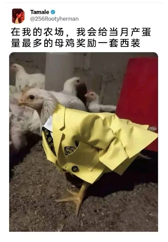 via 7号沙雕网友