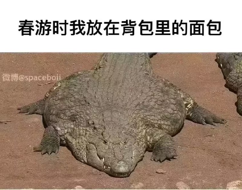 via 6号沙雕网友