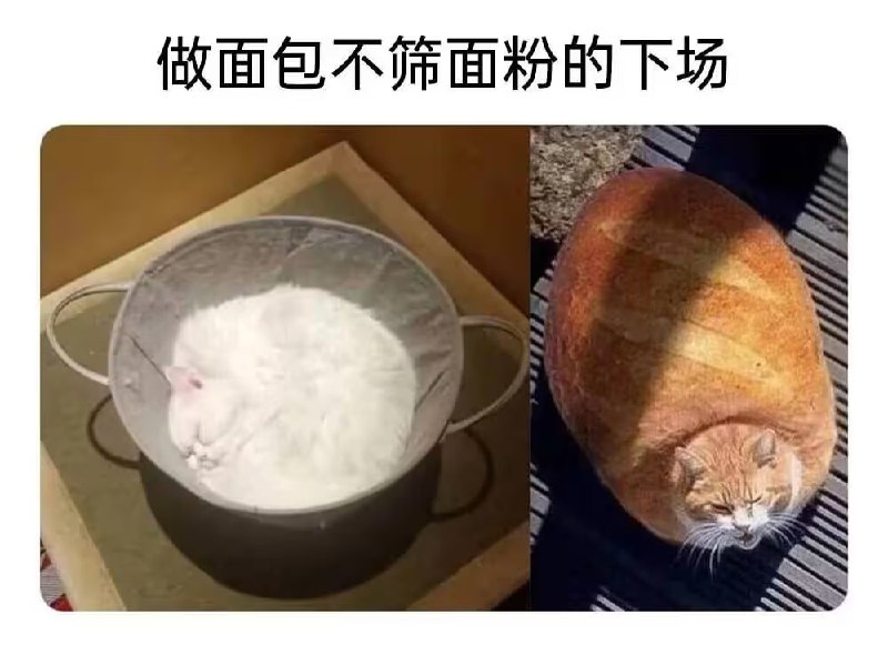 via 6号沙雕网友