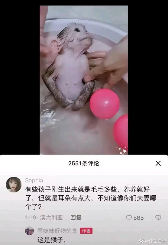 via 7号沙雕网友