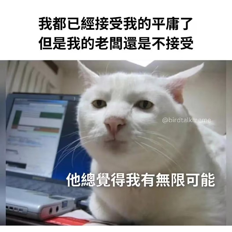 via 6号沙雕网友