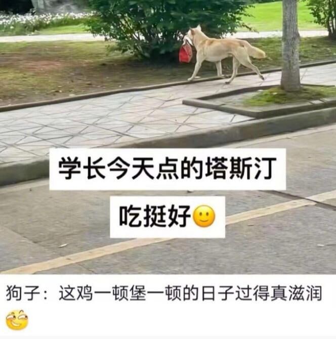 via 6号沙雕网友