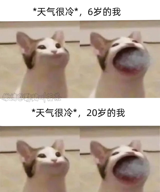 啊啊啊啊啊