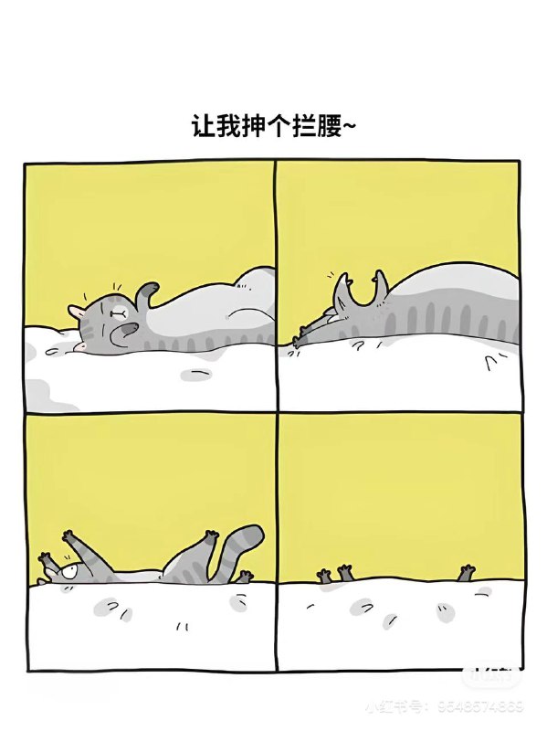 via N&M WANGvia N&M WANG