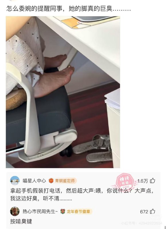 from 平壤卫视