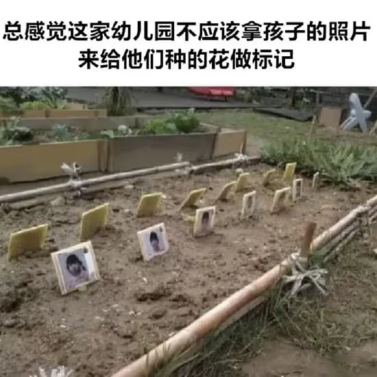 via 6号沙雕网友