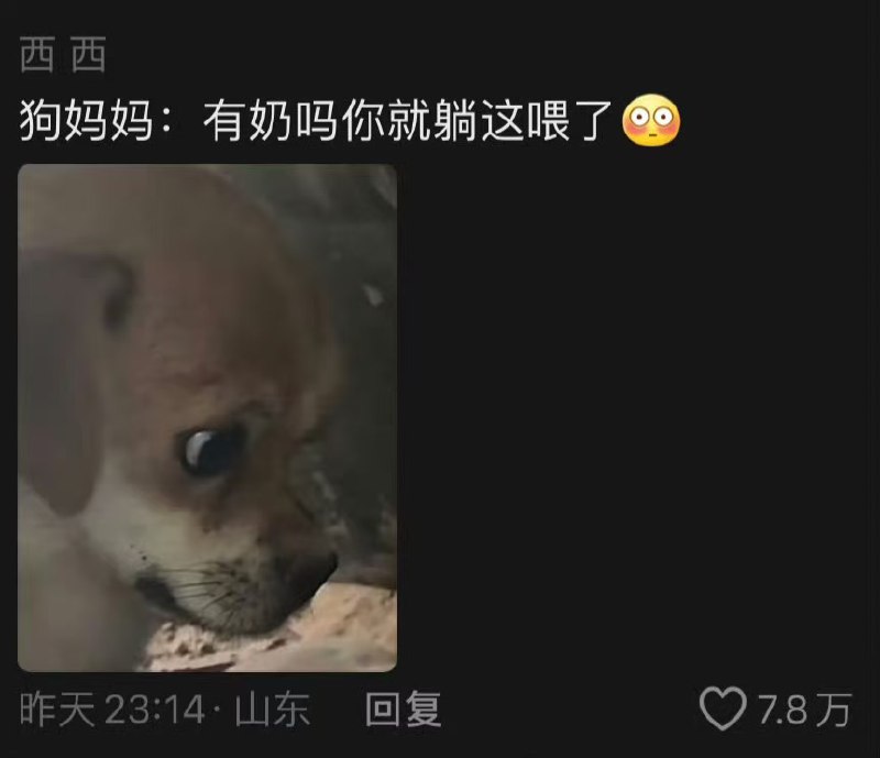 目瞪狗呆from 呸，不要脸目瞪狗呆from 呸，不要脸