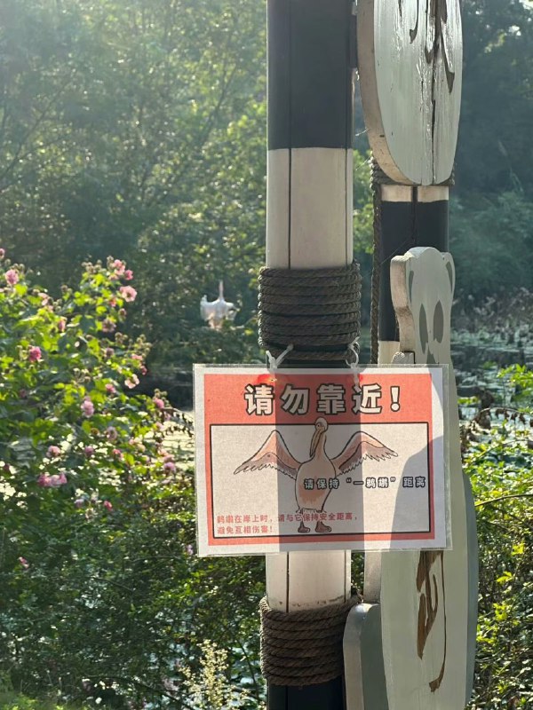 小动物会惩罚每一个不看指示牌的人(๑ゝω╹๑)via 快乐的老鼠宝宝小动物会惩罚每一个不看指示牌的人(๑ゝω╹๑)via 快乐的老鼠宝宝