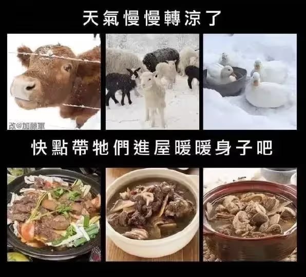 via 8号沙雕网友