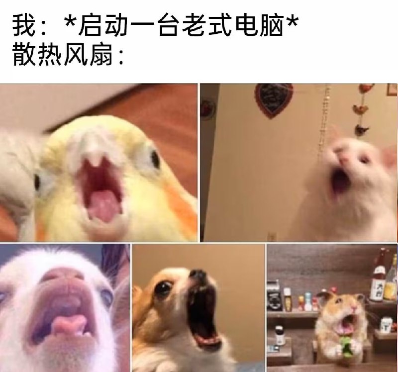 via 7号沙雕网友