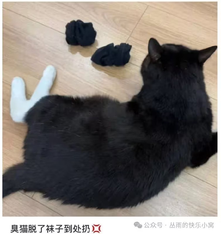 via 7号沙雕网友