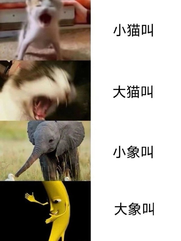 from Anzu什么都发 via electri