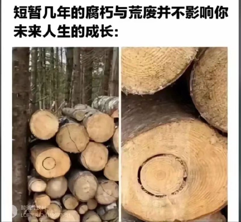 from Foolish TraceWind via 苦力怕酱tmd跟你爆了