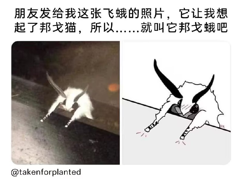 via 6号沙雕网友