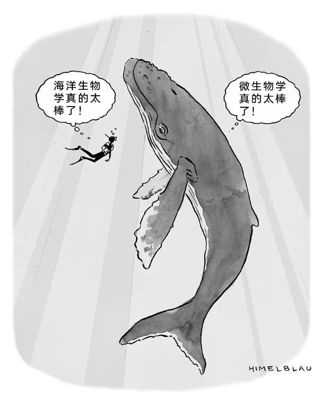 via 7号沙雕网友