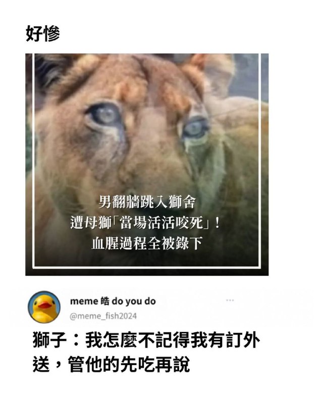 from 什麼都來點 via DECADE