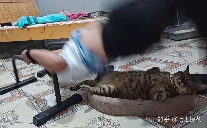 from 什麼都來點 via DECADEfrom 什麼都來點 via DECADE