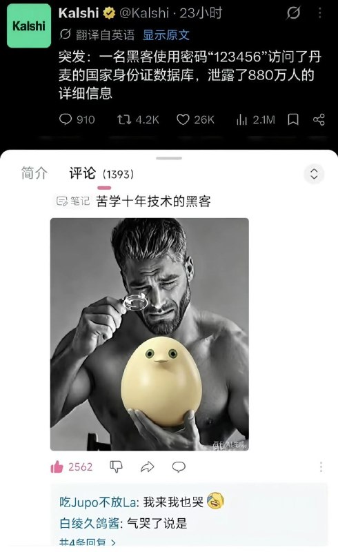 审核备注