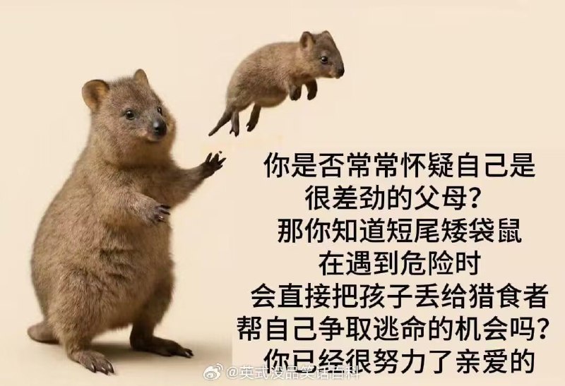 via my nbkls